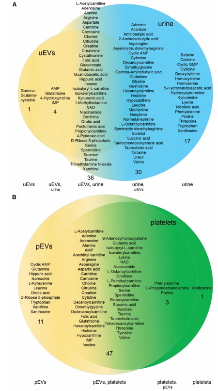 LDH Cytotoxicity Assay